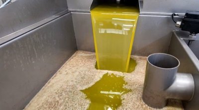 نقابة الفلاحين: سعر 10 دنانير لزيت الزيتون لا يغطي كلفة الإنتاج