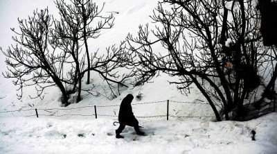 الليلة : تساقط الثلوج في مرتفعات القصرين وسليانة والكاف وجندوبة