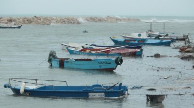 البنك التونسي للتضامن يطلق برنامج قروض بـ12 مليون دينار لصغار الفلاحين المتضررين