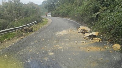 جندوبة: الأمطار تتسبب في انزلاقات أرضية بعدد من الطرقات