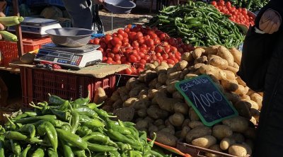 القيروان الأولى وطنيا في الفلفل والثانية في إنتاج الطماطم