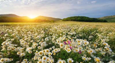 Tunisie : La météo du lundi 2 mars