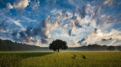 Météo : Baisse des températures et pluies orageuses prévues 