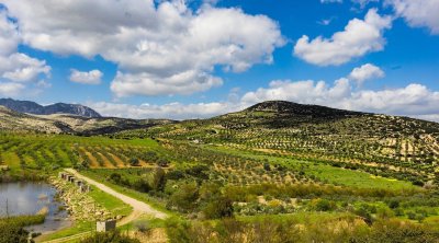 تونس : ضباب محلي صباحًا والحرارة في ارتفاع طفيف