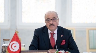 النفطي: تونس ترفض التدخل في شؤونها