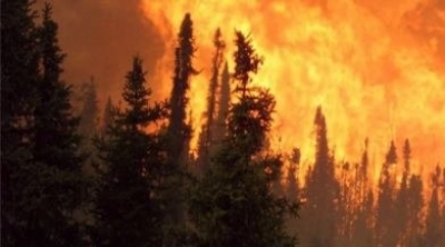 حريق في جبل زغوان بالقرب من محطة الارسال الاذاعي و التلفزي