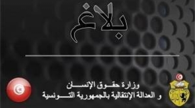 وزارة حقوق الإنسان تنفي إساءة معاملة ناشطات فيمن الأوروبيات