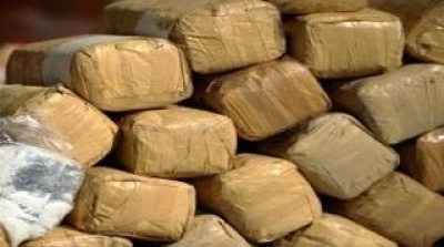حجز أكثر من نصف طن من الزطلة خلال 6 اشهر 