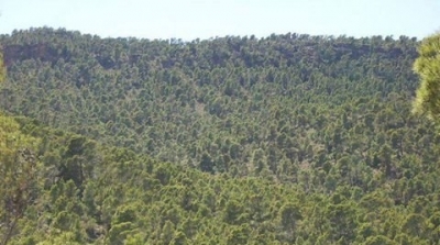 القصرين : تطويق منطقة بولعابة اثر تواجد مجموعة مسلحة بها