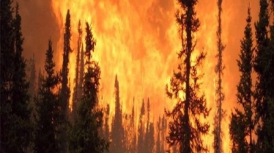 اندلاع حريقين في جبال الكاف