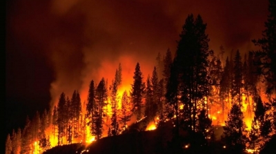 الكاف: تحذيرات من إمكانية وصول الحرائق للمناطق السكنية 