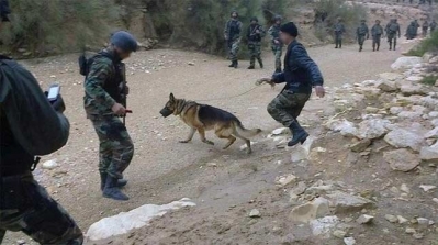 اشتباكات مسلحة بين الجيش و العناصر الارهابية بجبل الشعانبي