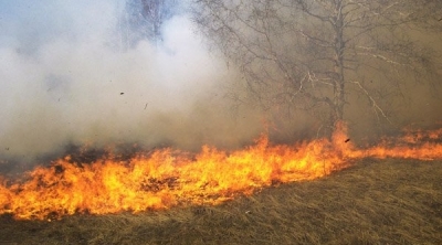 زغوان : حريق هائل بجبل ''كدية الشعير'' يأتي على مساحات غابية كبيرة