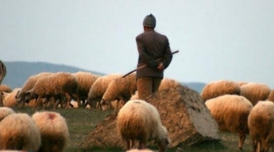 وفاة راعي غنم بنزرت أصيب بداء الكلب بعد أن عضته إحدى نعاجه