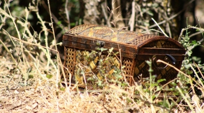 نابل : راعي غنم يعثر على صندوق يحتوي على مليارات الدينارات