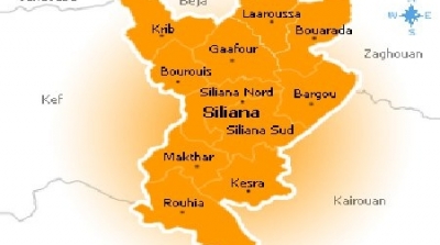 مواجهات وتراشق بالحجارة بين تلاميذ معهدين بسليانة