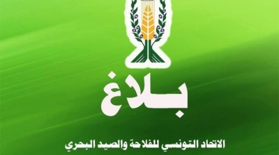 الاتحاد التونسي للفلاحة والصيد البحري يرفض تحديد اسعار البيض