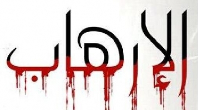 ضحايا الارهاب لســـنة 2013