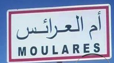 ام العرائس: تعليق الدروس بسبب تكدس مياه الصرف الصحي امام قاعات احدى المدارس الاعدادية