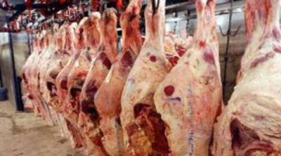 شركة اللحوم تقرر توريد 1100 خروفا مذبوحا اسبوعيا من ايرلندا
