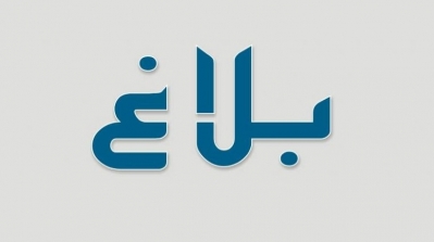 المرزوقي يهنئ بوتفليقة بإعادة انتخابه