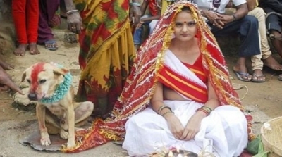 عائلة هندية تزوج ابنتها من كلب ضال لطرد ''النحس'' 