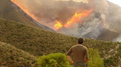 زغوان : اندلاع حريق في جبل منصور بالفحص 