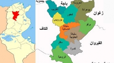 8 جرحى في انقلاب حافلة بسليانة