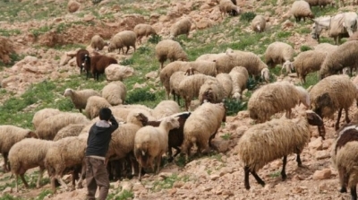 هذه وصية الراعي الشهيد مبروك السلطاني 