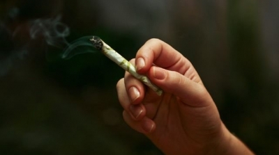 100 الف مستهلك للزطلة و 57 % منهم تتراوح اعمارهم بين 13 و 18 سنة 