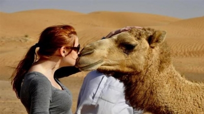 سعودي يطلق زوجته بعد ان قبلت ''جملا'' !