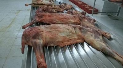 منوبة : حجز طن و 500 كغ من لحوم الحمير في الدندان 