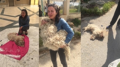 نابل : الشرطة البلدية تقتل كلبا صغيرا امام منزل مالكيه (صور)