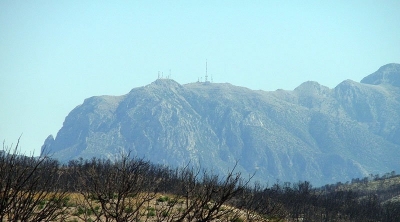 تصنيف الحديقة الوطنية بدغومس الثانية عالميا من حيث التنوع البيولوجي الصحراوي