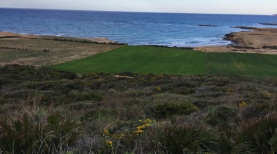 الهواريــــة: مواطن يستغيث :سلبوا مني أرضي بالقوة.. فمن ينصفني؟