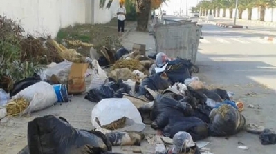 وزارة الصحة تدعو الى عدم إلقاء فضلات الأضاحي بصفة عشوائية وإحكام عمليات التصرّف فيها