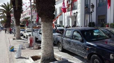 استعدادا لزيارة الباجي : احدى بلديات سوسة تقوم بطلاء النخيل و السيارات