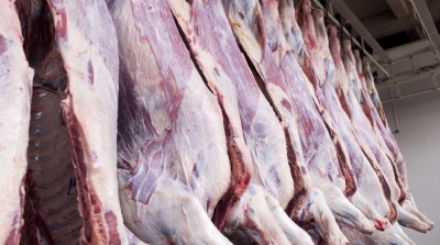 العاصمة : حجز 26 طن من لحوم الحمير الفاسدة تحتوي على فيروس قاتل 