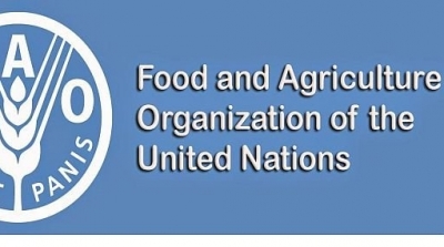 La FAO appelle à davantage d’investissements pour contrer la hausse de la faim