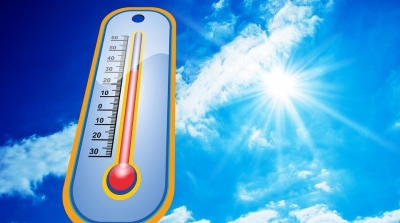 درجات الحرارة تصل الى 38 درجة 