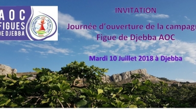 Ouverture de la Campagne des Figues de Djebba AOC