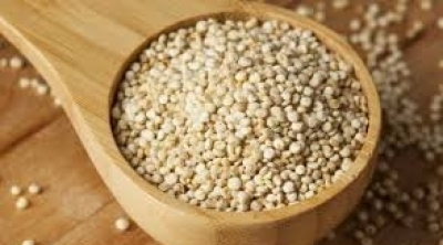 'الكينوا' التونسية في الأسواق قريبا