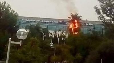 احتراق اشجار نخيل بسبب صاعقة رعدية في البحيرة (صور)