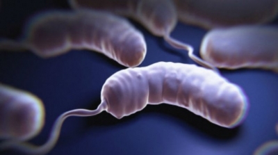 توقيا من الكوليرا : تكثيف المراقبة على المعابر الحدودية مع الجزائر في توزر 