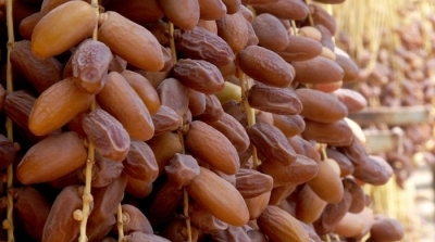 صادرات التمور التونسية تكتسح 84 دولة 