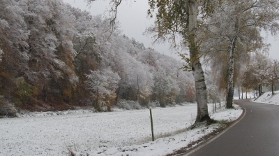 انقطاع حركة المرور بالطريق الرابطة بين طبرقة و جندوبة بسبب الثلوج 