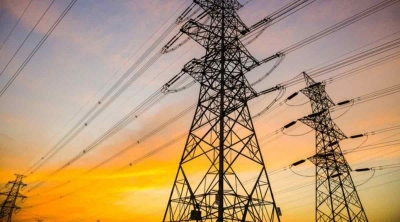 سقوط اشجار على الشبكة الكهربائية يتسبب في انقطاع الكهرباء بعدد من مناطق بمنوبة