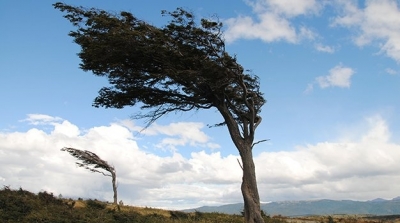Météo : L’INM appelle à la vigilance en raison des vents forts