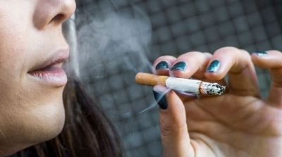 Tunisie : Les détails de la proposition pour légaliser le cannabis