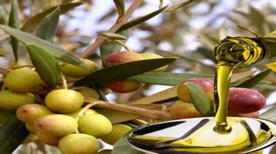 'Olivko' remporte le prix de la meilleure huile d'olive dans le monde pour 2019
